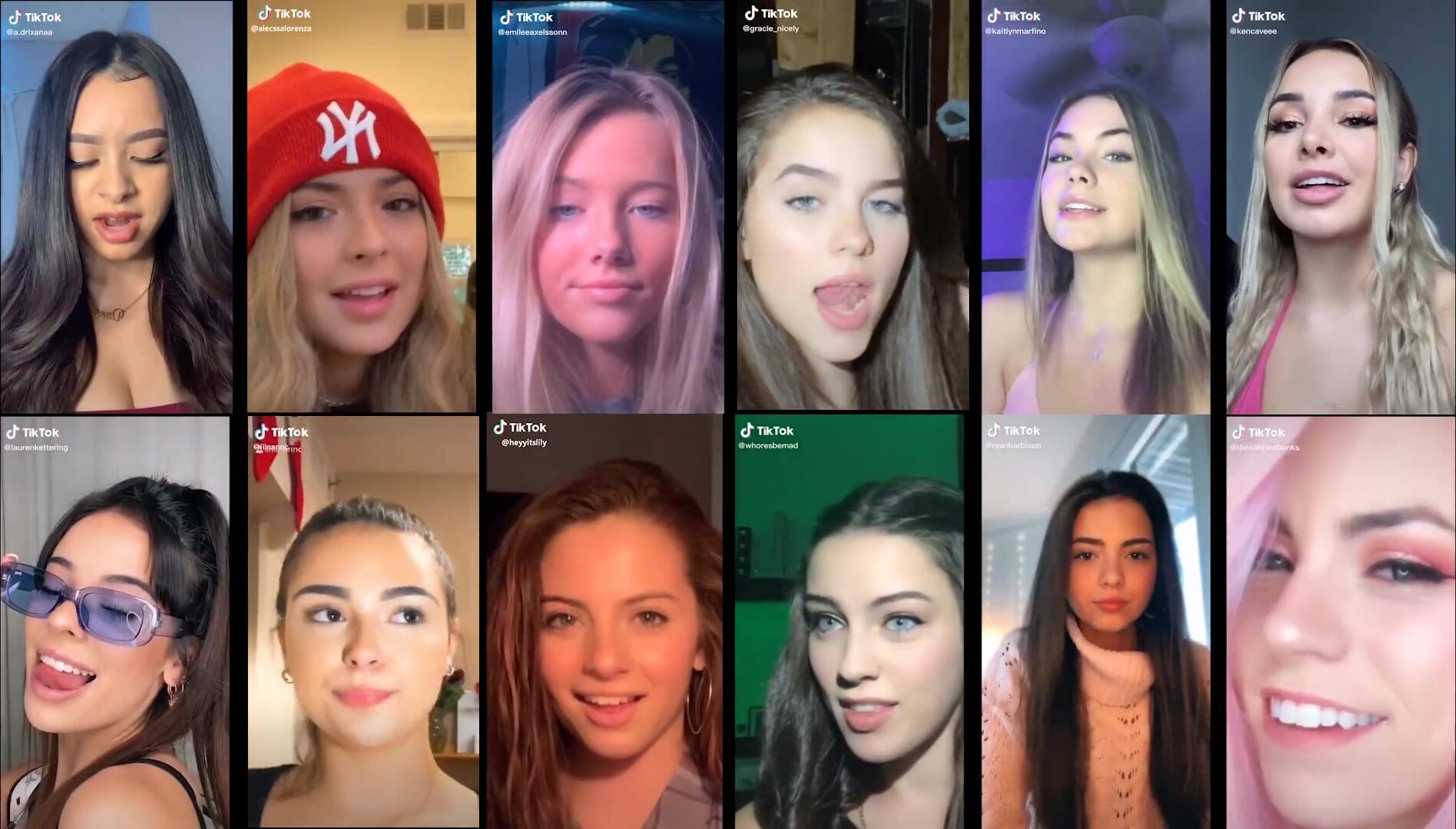 TIK TOK White Girls vs Black Bulls vs White bois