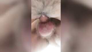 Asian Girls and White Cocks: Didn't realize my clit swelled so much when his BWC pounds my tight, asian pussy #3