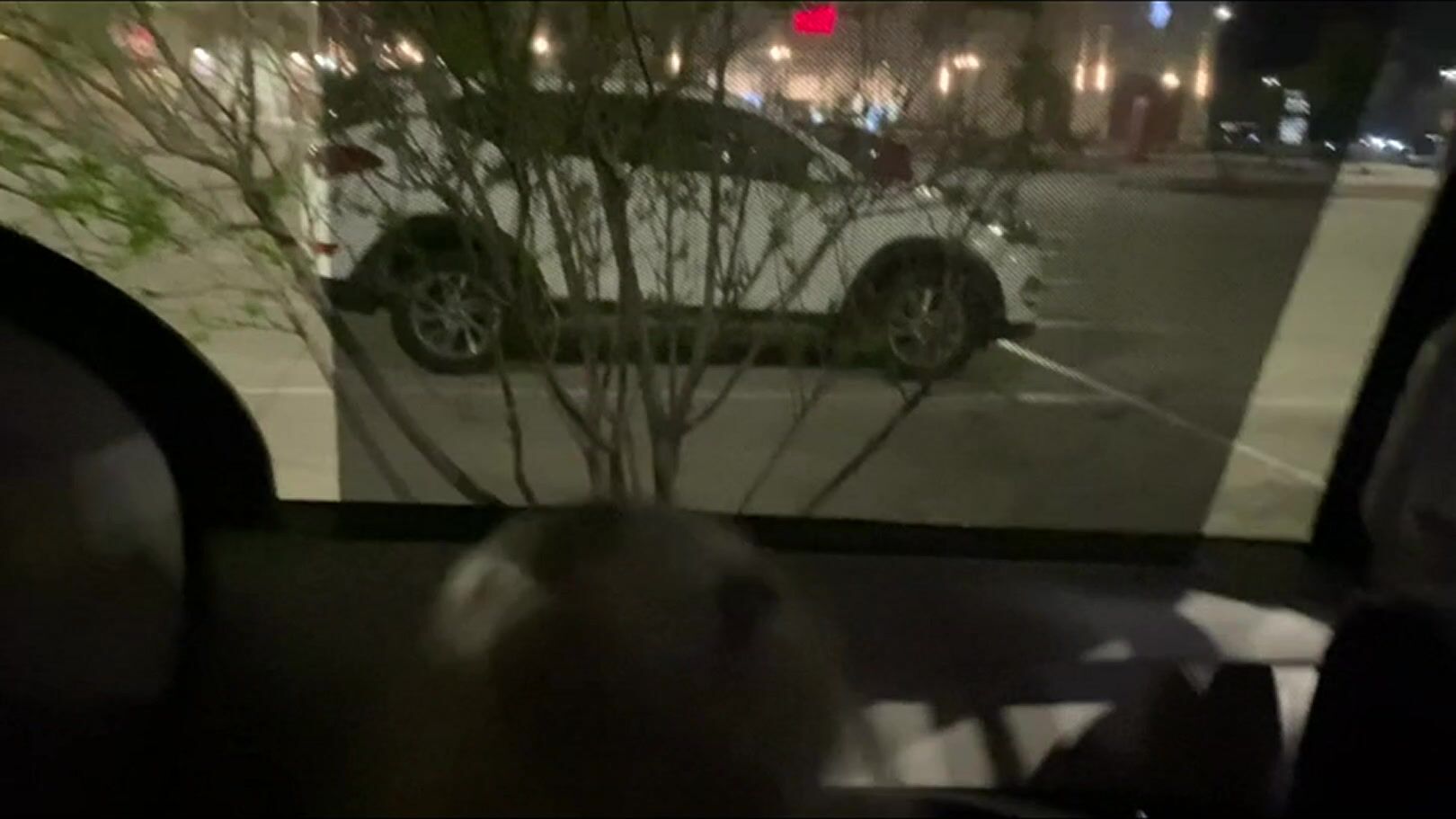 Sneaky car sex in the parking lot